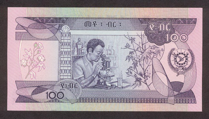 Обратная сторона банкноты Эфиопии номиналом 100 Быров