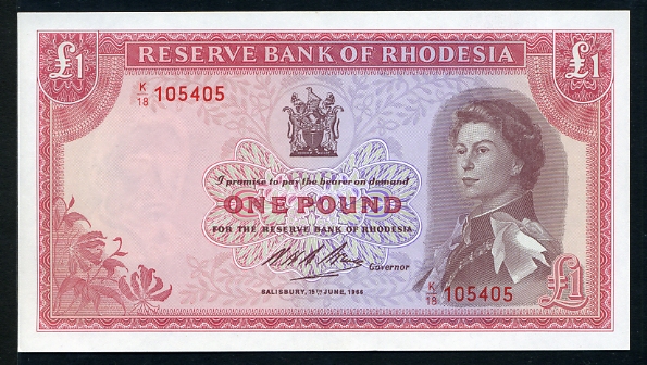 Лицевая сторона банкноты Центральноафриканской Республики номиналом 1 Фунт