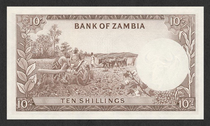 Обратная сторона банкноты Замбии номиналом 10 Шиллингов