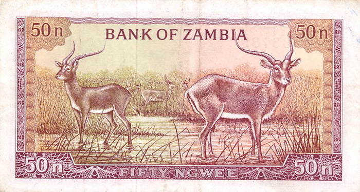Обратная сторона банкноты Замбии номиналом 50 Нгве