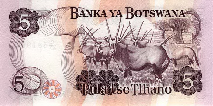 Обратная сторона банкноты Ботсваны номиналом 5 Пул
