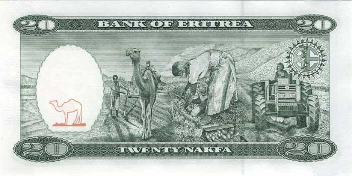 Обратная сторона банкноты Эритреи номиналом 20 Накфа