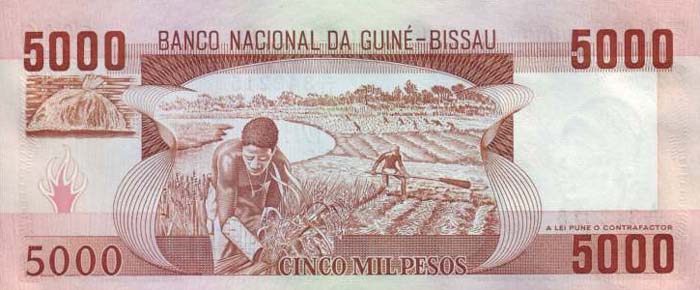 Обратная сторона банкноты Гвинеи-Бисау номиналом 5000 Песо
