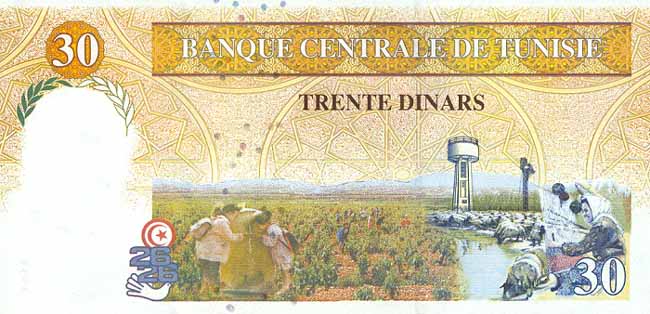 Обратная сторона банкноты Туниса номиналом 30 Динаров
