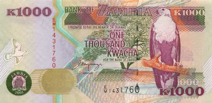 Лицевая сторона банкноты Замбии номиналом 1000 Квач