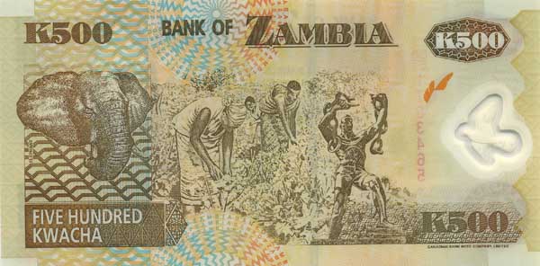 Обратная сторона банкноты Замбии номиналом 500 Квач