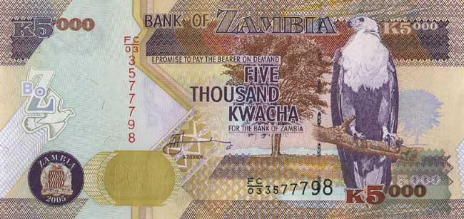 Лицевая сторона банкноты Замбии номиналом 5000 Квач