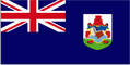 Правительственный флаг Бердумов