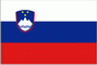Гражданский флаг Словении
