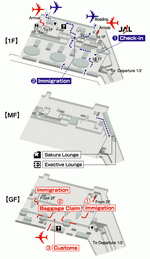 Схема терминалов авиакомпании JAL аэропорта Амстердама