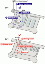 Схема терминалов авиакомпании JAL аэропорта Шеньяна